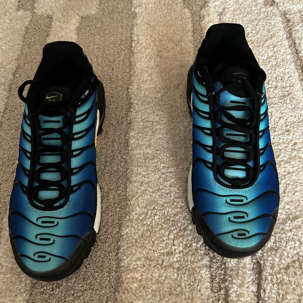 Nike Air Max Plus